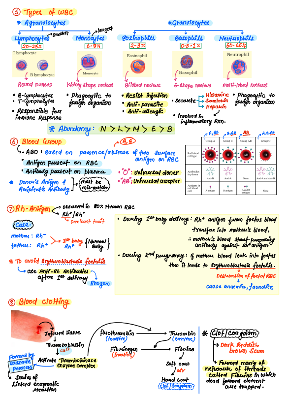 Complete Class 11 BIOLOGY Handwritten NOTES